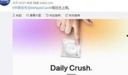 今日热点爆料图片大全集,图片大全集深度解析